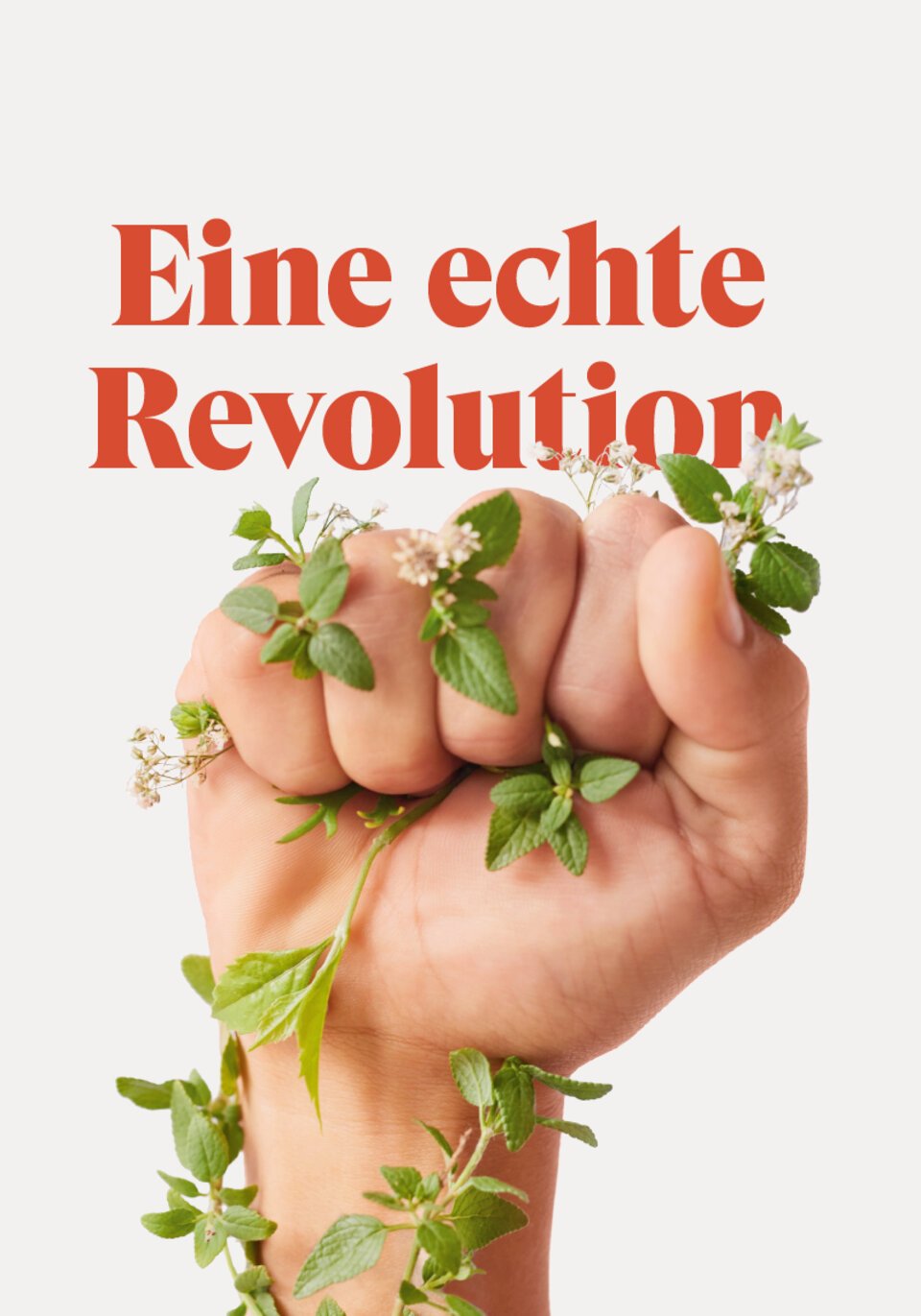 FMZ Report 2020 Revolution