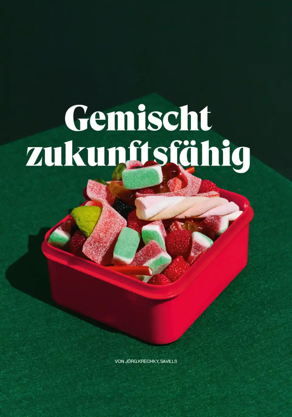 FMZ Report 23 Gemischt zukunftsfähig